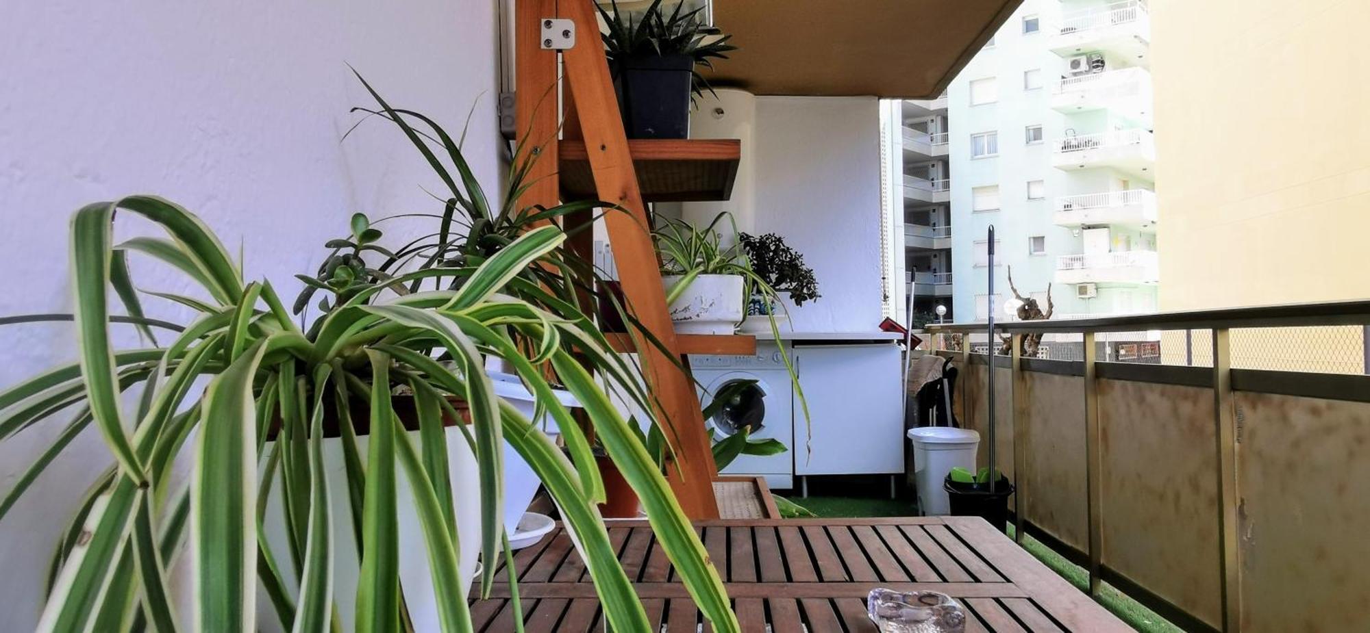 Luz Y Color Apartment